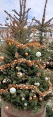 Akcja – świąteczne przystrajanie naszego miasta 1